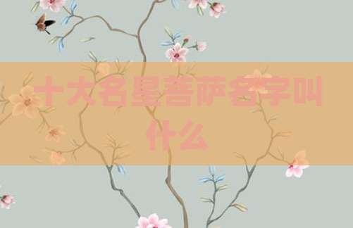 十大名星菩萨名字叫什么