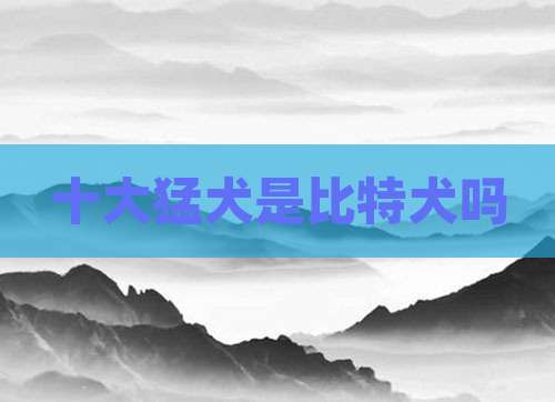 十大猛犬是比特犬吗