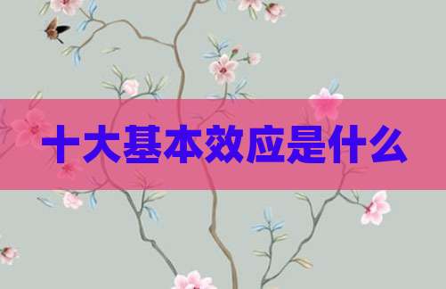 十大基本效应是什么