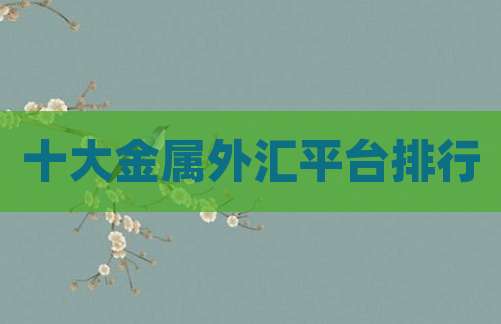 十大金属外汇平台排行