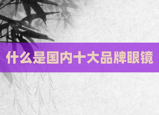 什么是国内十大品牌眼镜