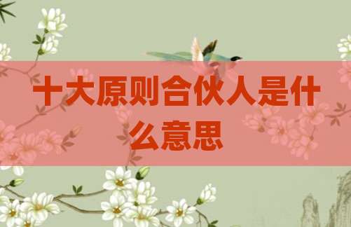 十大原则合伙人是什么意思