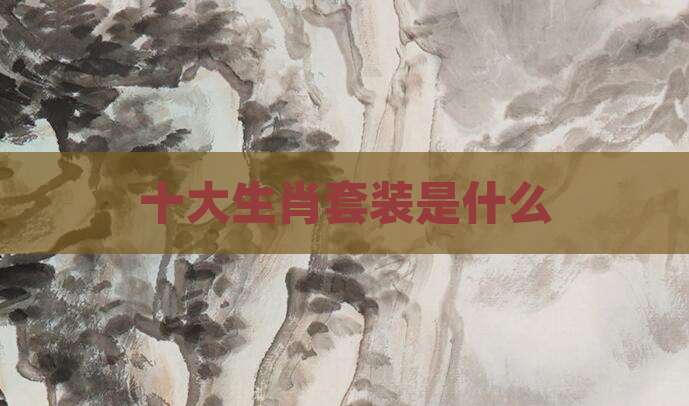 十大生肖套装是什么