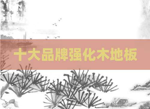十大品牌强化木地板
