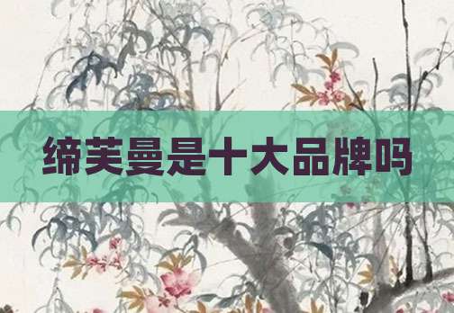 缔芙曼是十大品牌吗