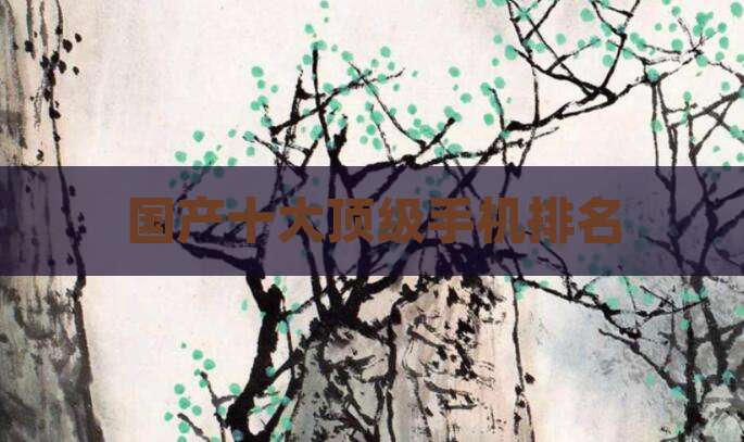 国产十大顶级手机排名