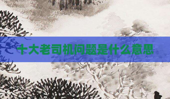 十大老司机问题是什么意思