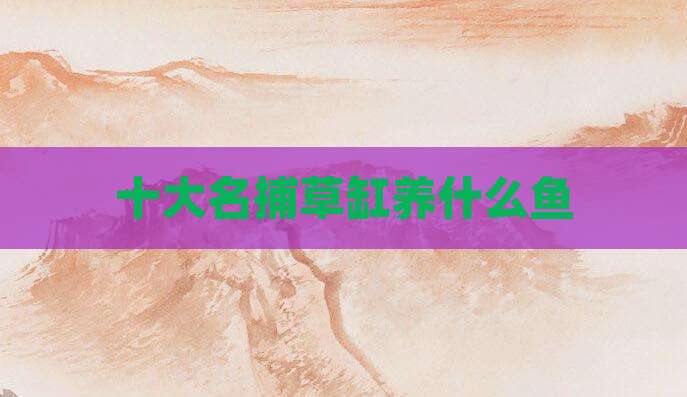 十大名捕草缸养什么鱼