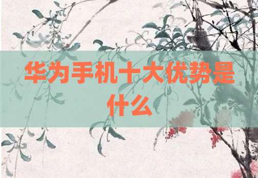 华为手机十大优势是什么