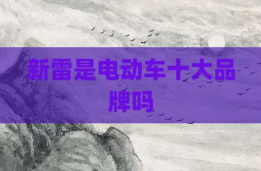 新雷是电动车十大品牌吗