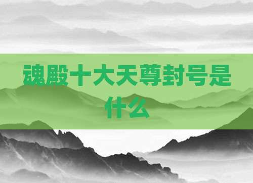 魂殿十大天尊封号是什么