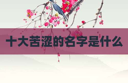 十大苦涩的名字是什么