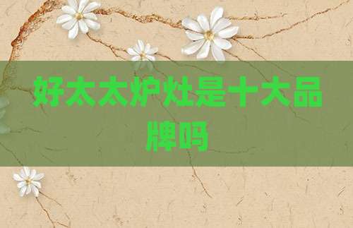 好太太炉灶是十大品牌吗
