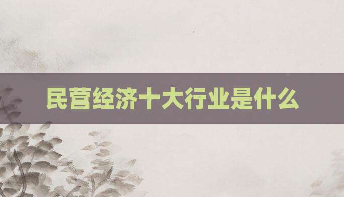 民营经济十大行业是什么
