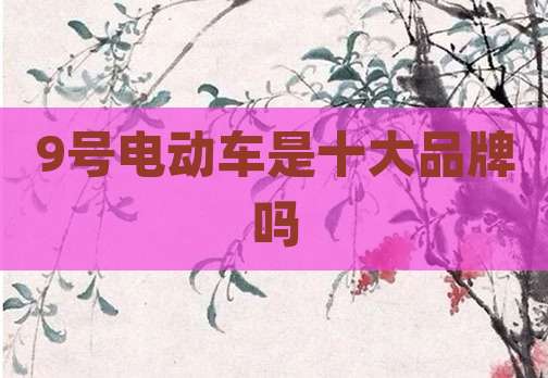 9号电动车是十大品牌吗