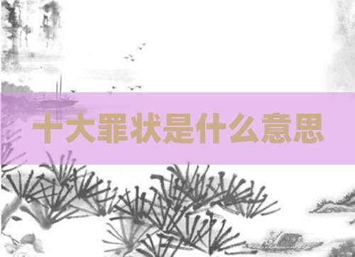 十大罪状是什么意思