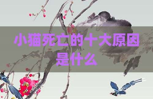 小猫死亡的十大原因是什么