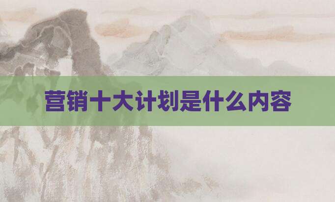 营销十大计划是什么内容