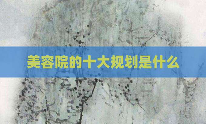 美容院的十大规划是什么
