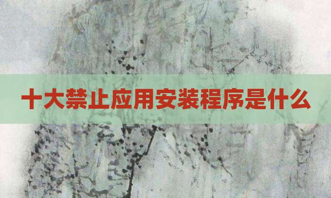 十大禁止应用安装程序是什么