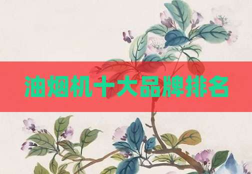 油烟机十大品牌排名