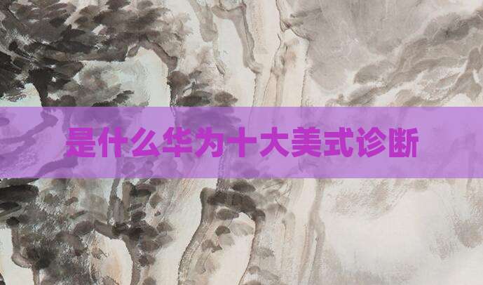 是什么华为十大美式诊断
