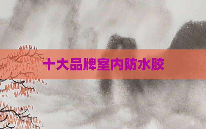 十大品牌室内防水胶