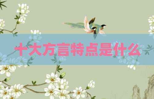 十大方言特点是什么