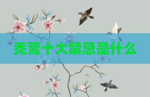 秃鹫十大禁忌是什么