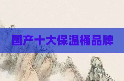 国产十大保温桶品牌