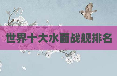 世界十大水面战舰排名