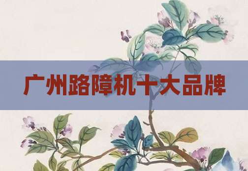 广州路障机十大品牌