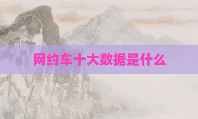 网约车十大数据是什么