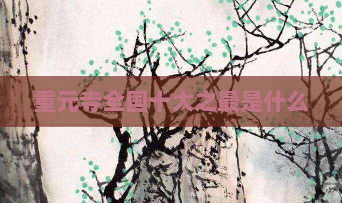 重元寺全国十大之最是什么