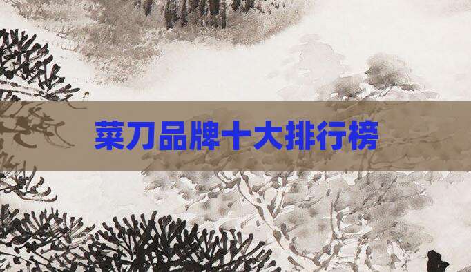 菜刀品牌十大排行榜