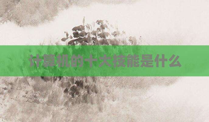 计算机的十大技能是什么