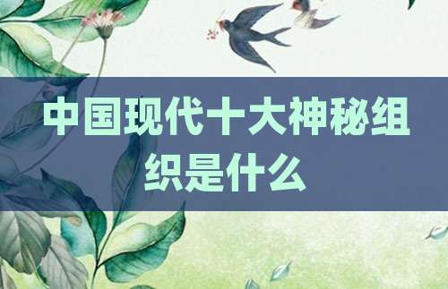 中国现代十大神秘组织是什么