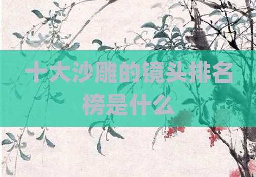 十大沙雕的镜头排名榜是什么