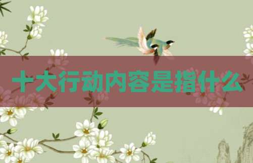 十大行动内容是指什么