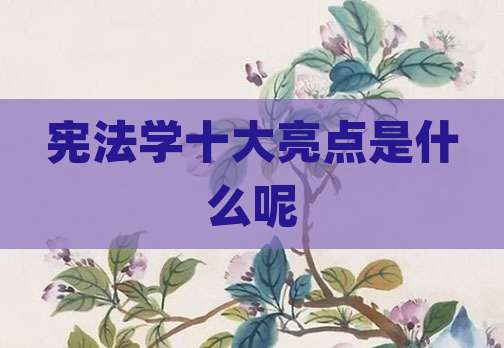 宪法学十大亮点是什么呢