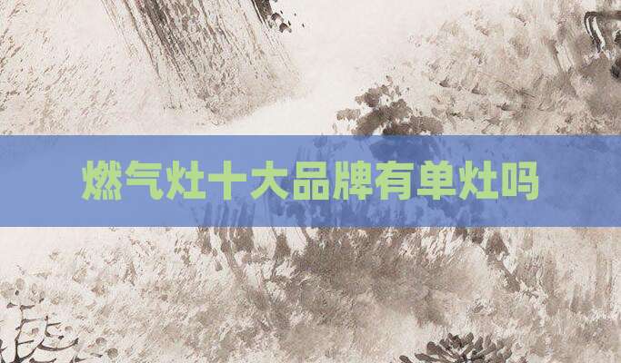 燃气灶十大品牌有单灶吗