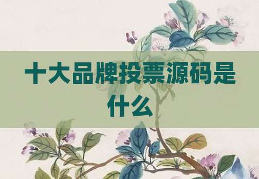 十大品牌投票源码是什么