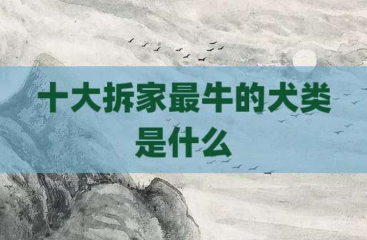 十大拆家最牛的犬类是什么