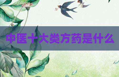 中医十大类方药是什么