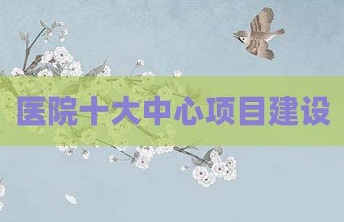 医院十大中心项目建设