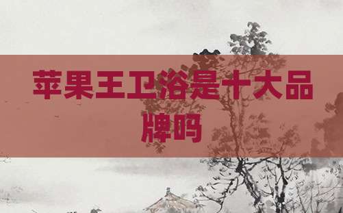 苹果王卫浴是十大品牌吗