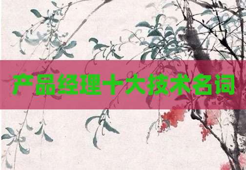 产品经理十大技术名词