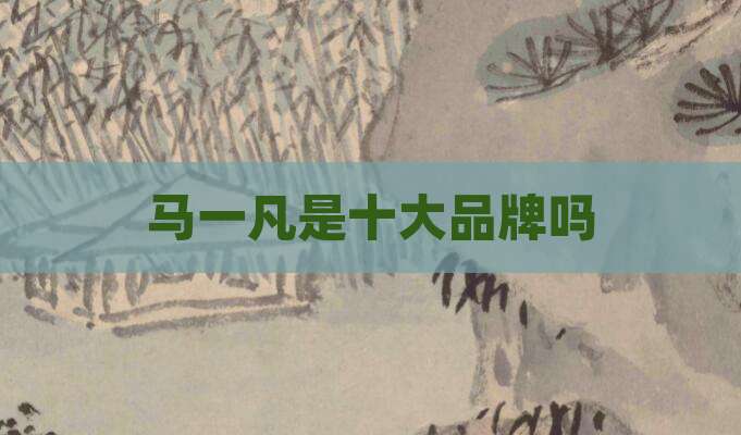 马一凡是十大品牌吗