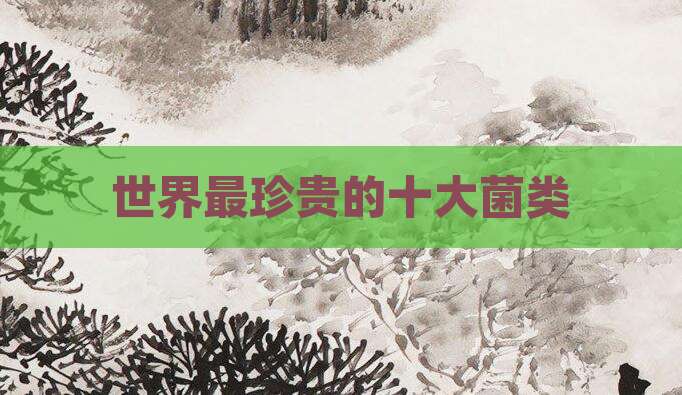 世界最珍贵的十大菌类