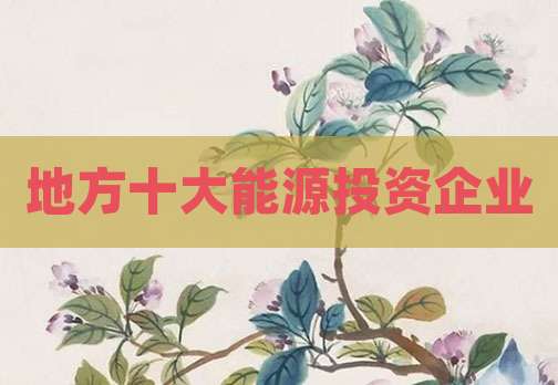 地方十大能源投资企业